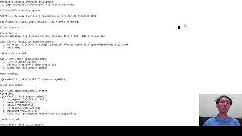 Video Demo Tugas Praktikum Basis Data Modul 1