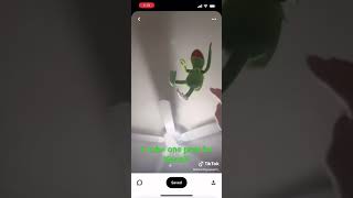 Kermit Dies