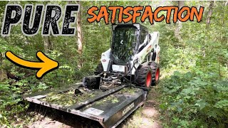 Satisfying Brush Mowing With My Bobcat Skid Steer.