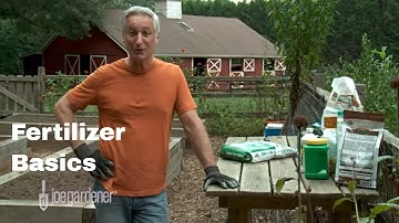Learn the Basics of Fertilizer