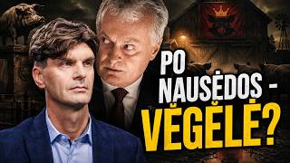 Vėgėlė kuria partiją ir meta pirštinę Nausėdos "gyvulių ūkiui"