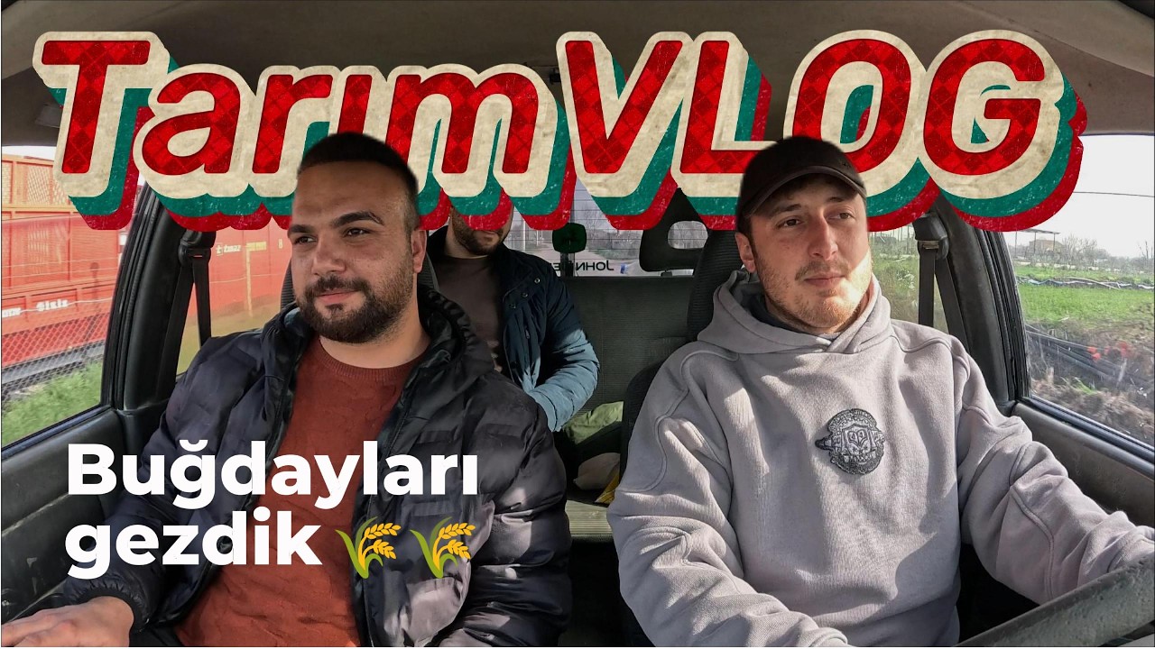 Ziraat Mühendisleriyle BUĞDAYLARI Geziyoruz