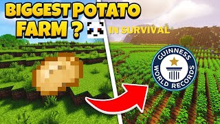 Planning To Make The Biggest Potato Farm For Technoblade as a Tribute in Minecraft