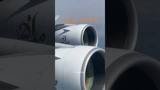 ✈️ Recent Doha → Dubai Qatar Airways Landings