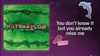 John and Jane Q. Public  | Watermelon |  Lyric Video (From Dinner in America)