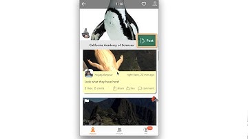 Playceboard Social Content Aggregator Screen Cast