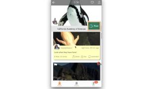Playceboard Social Content Aggregator Screen Cast