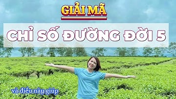 GIẢI MÃ Người Có CHỈ SỐ ĐƯỜNG ĐỜI 5 | Thần Số Học Cuộc Sống