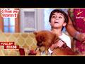 Naksh एक पिल्ला घर लेकर आया! | Full Episode:1100 | Yeh Rishta Kya Kehlata Hai