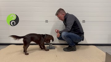 From direct (throw) reinforcement to bridge signal