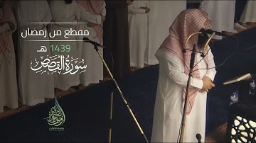 تلاوة نادرة من رمضان 1439هـ | من سورة القصص | الشيخ يوسف الصقير 