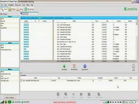 How to put Limewire songs into iTunes