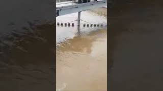 Flocculation In Action