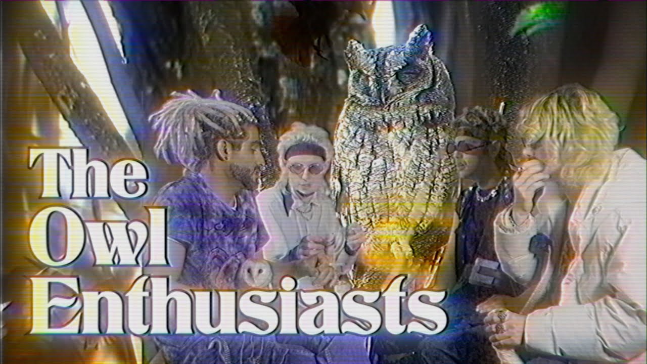 The Owl Enthusiasts