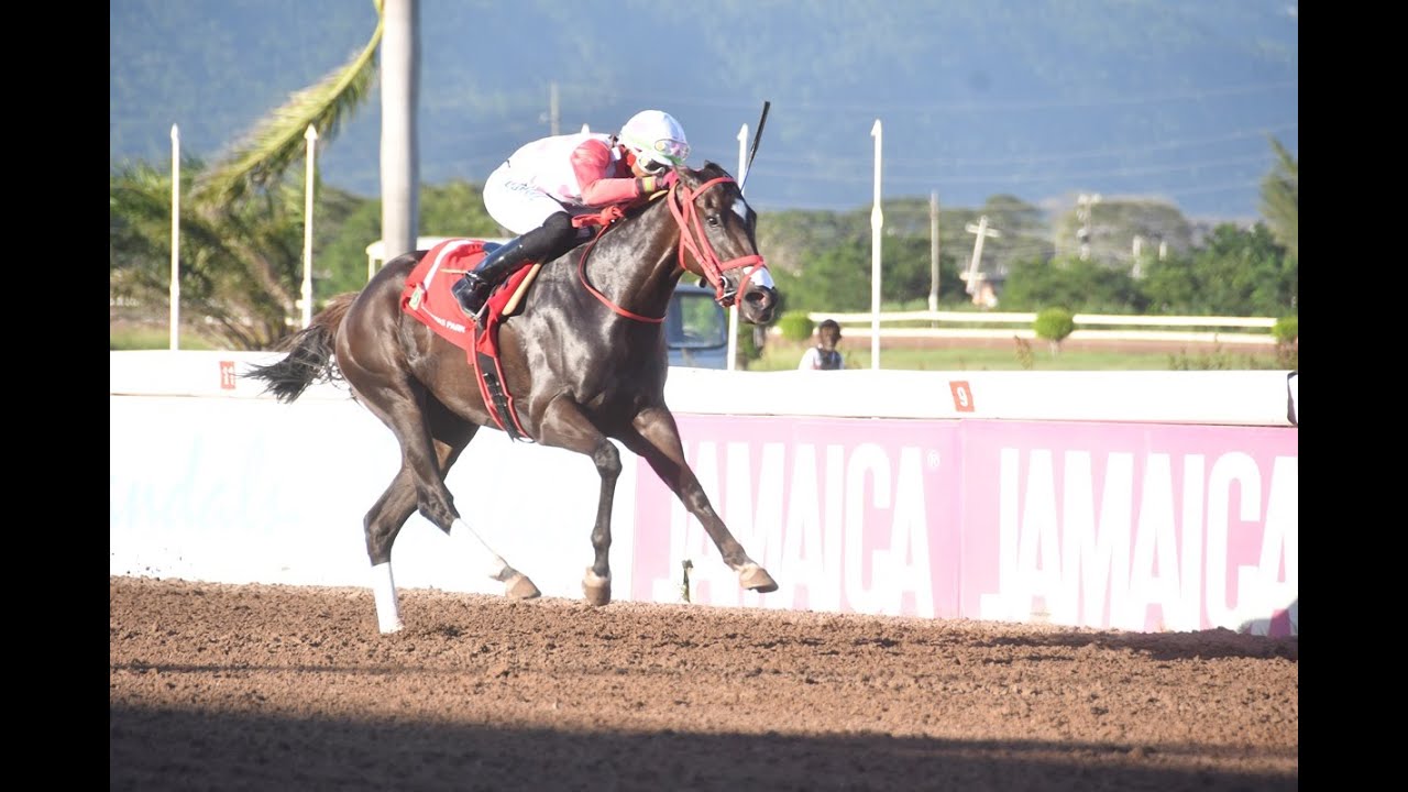 Watch When Comehometome Won The 2024 Winston Griffiths Classic