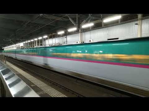 [迫力ある高速通過！]東北新幹線はやぶさ＆こまち40号東京行き　新花巻通過