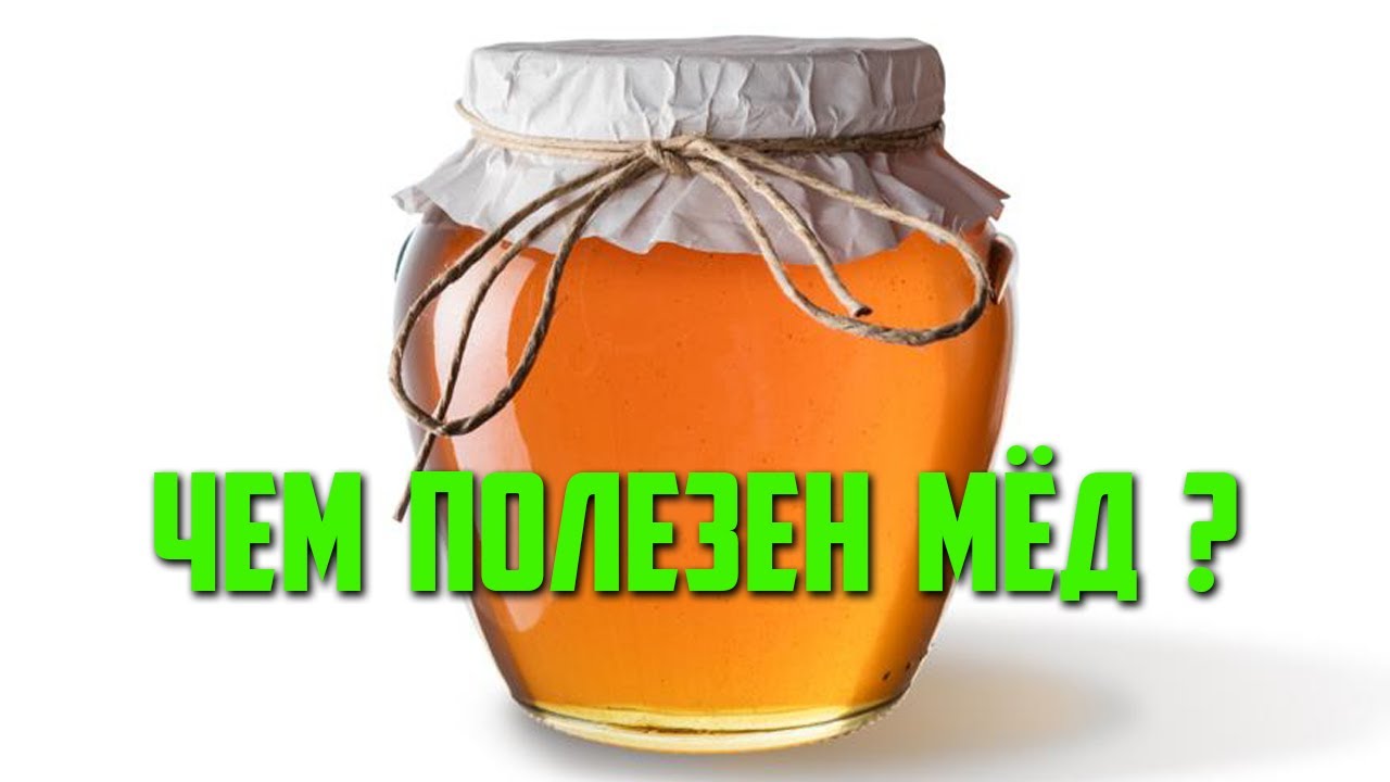 Чем полезен мёд? - YouTube