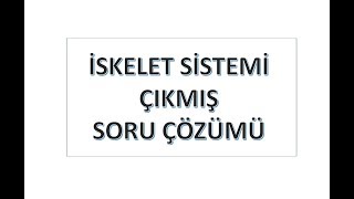 İskelet Sistemi Çıkmış Anatomi Sınav Soruları
