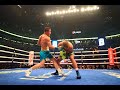 Canelo Alvarez Career Highlights (Tribute)