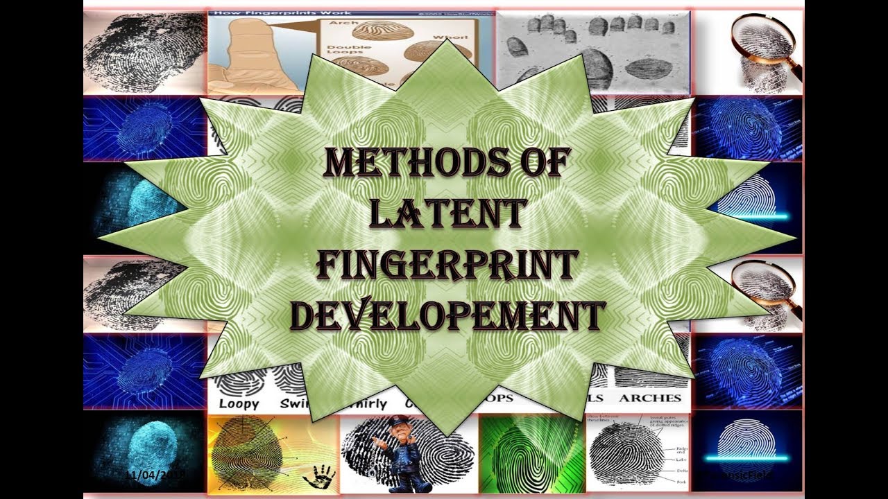 hypothesis on fingerprints