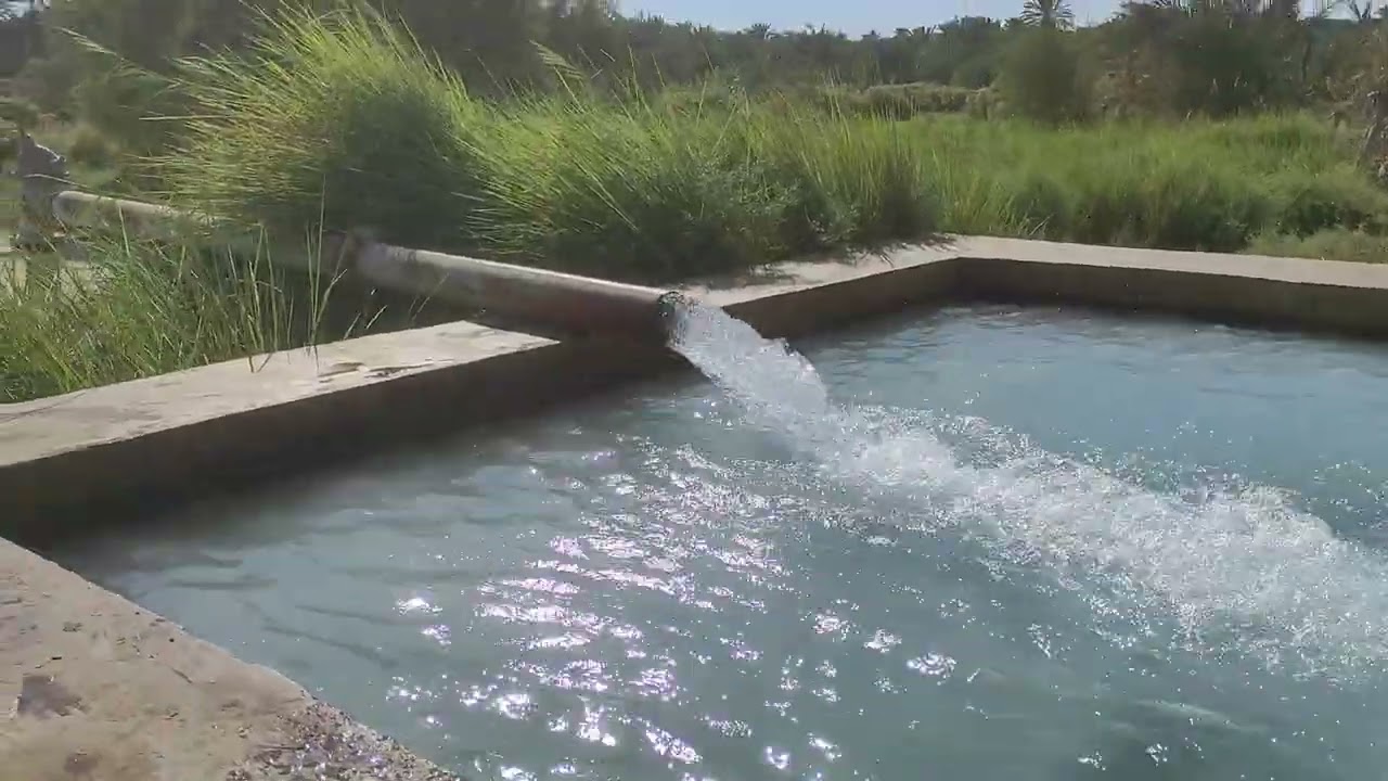 جولة سياحية بالواحات البحرية في المياه الكبريتية/ 01012088810