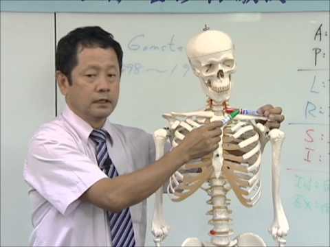 脊椎矯正教學02 上肢矯正01 鎖骨後偏 胸骨端 整脊教學整骨正骨脊骨脊柱側彎骨傷推拿四肢 Youtube