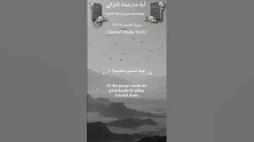 سورة الانسان 22/14 turk/arab