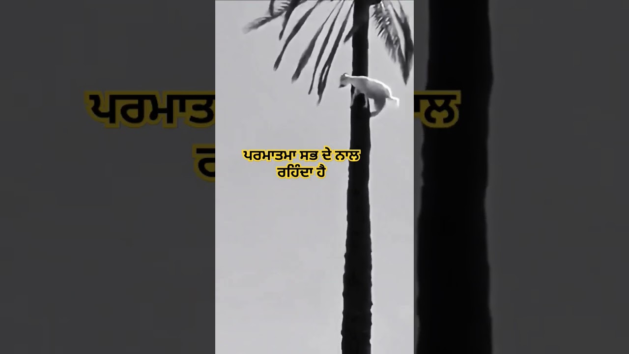 my god, shorts , youtubeshorts 