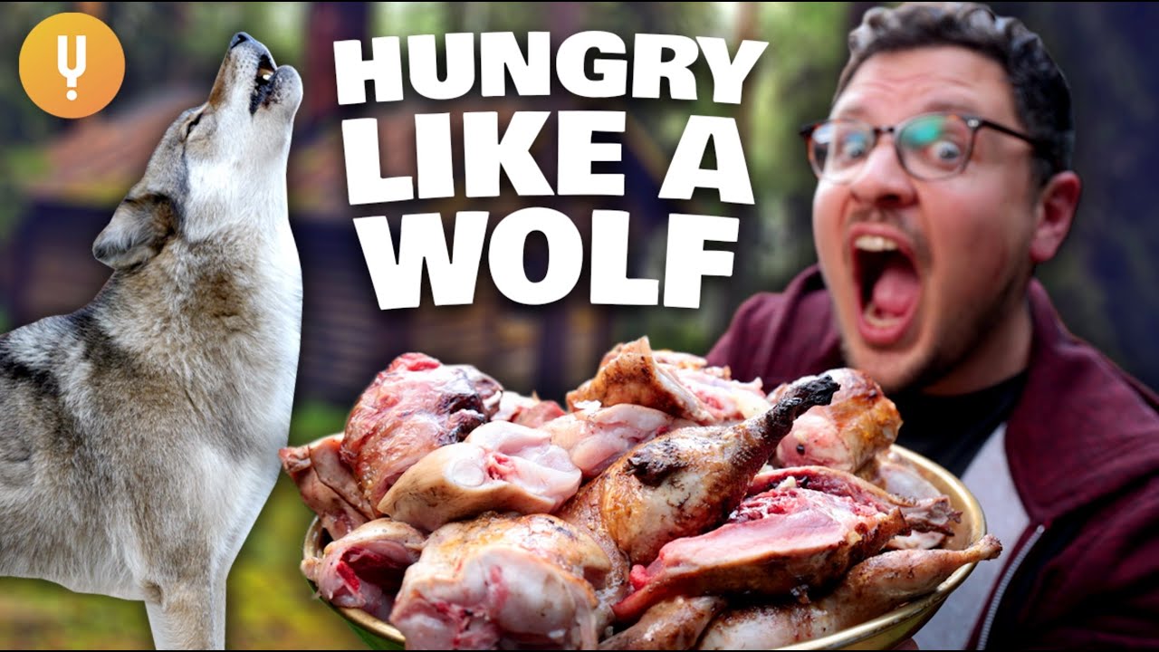 I Ate Like A Wolf For A Day