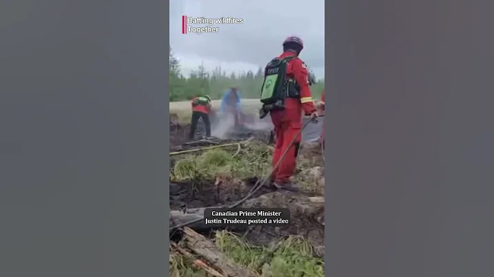 Canadian leader thanks S. Korean firefighting team for battling wildfires in Quebec