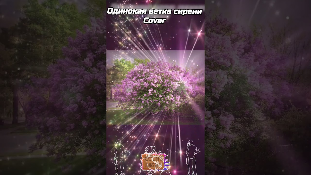 Одинокая ветка сирени❤Cover 🔥
