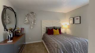 Charming Apartment with Modern Features | Charlotte, NC | Real Estate Video