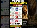 Structural Organisation in Animals 🦁 | Cell → Tissue → Organ → Organ System → Organism