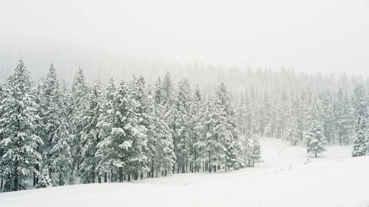 k-pop 눈 내리는 숲에서