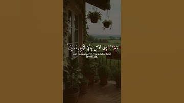 سورة لقمان الآية (٣٤)