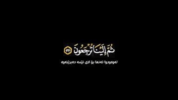 كل نفسٍ ذائقة الموت شاشة سوداء | كرومات قرآن كريم | عبد الرحمن مسعد حالات واتس