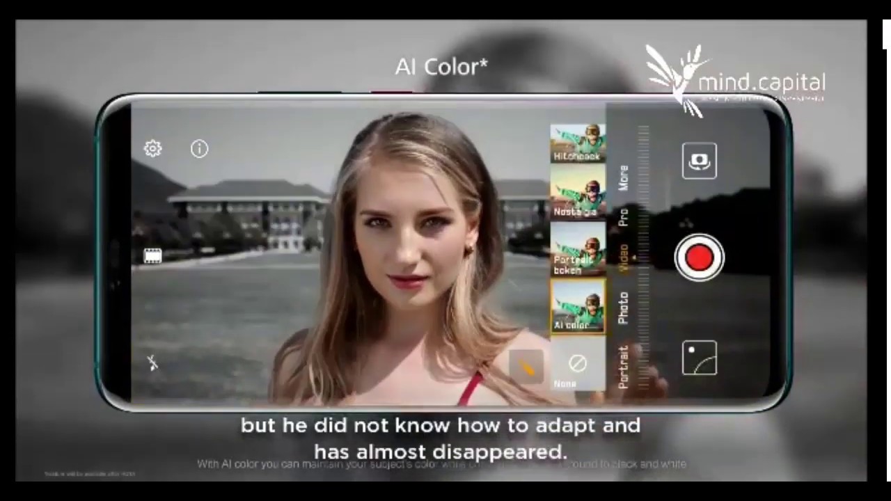 🌟💥MIND CAPITAL PRESENTACION💥🌟