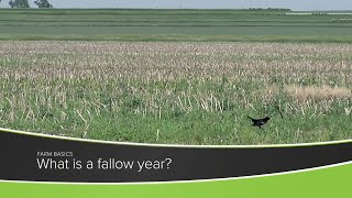 Farm Basics #1218 What Is A Fallow Year? (Air Date 8-8-21)