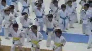 Shiramizu Karate Kindergarten Kids Demo
