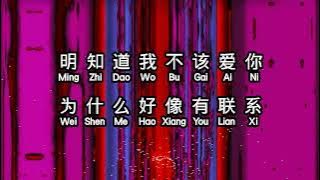 刘文正  《 忘不了的你 》  wang bu liao de ni