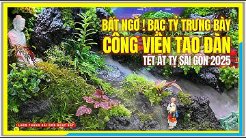 BẤT NGỜ ! TRƯNG BÀY BẠC TỶ tại CÔNG VIÊN TAO ĐÀN | HỘI HOA XUÂN 2025 SÀI GÒN | Tết Sài Gòn 2025