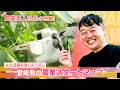 【AGRIST】AIと自動収穫ロボで挑む宮崎発の農業スタートアップ
