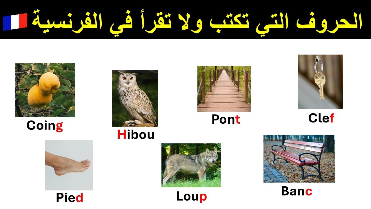 Les lettres muettes (الحروف الصامتة في اللغة الفرنسية)