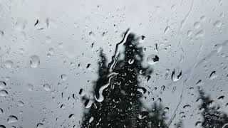 خلفية فيديو للمونتاج - مطر- صوت المطر HD