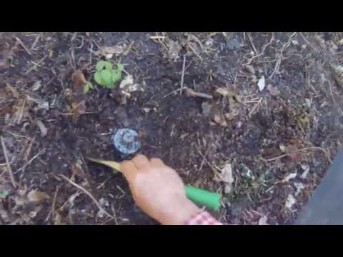 Video: Kako se postavljaju minska polja?