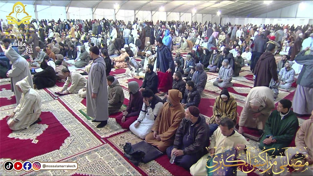 البث المباشر..صلاة العشاء وتراويح يوم السبت 14 رمضان 1446 / 15 مارس 2025 مع المقرئ مصطفى مخلوفي