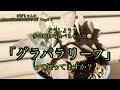 「グラパラリーフ」　多肉植物　７０歳ひとり暮らし　食用多肉植物　ガーデニング