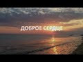 КОРОТКОМЕТРАЖНЫЙ СОЦИАЛЬНЫЙ ФИЛЬМ  «ДОБРОЕ СЕРДЦЕ»