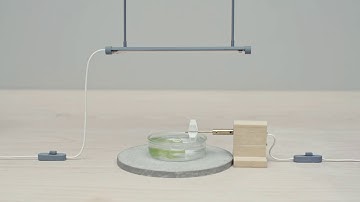 How to produce fuel from algae