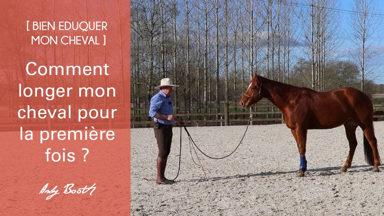 Comment longer un cheval ? 5 Techniques faciles à maîtriser ! - Blog